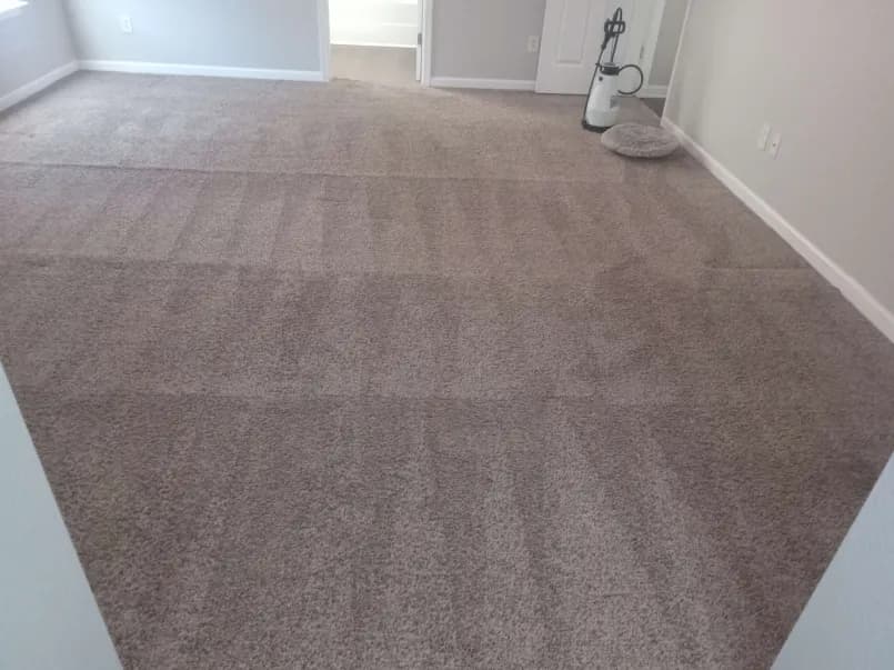 How much does professional carpet cleaning cost