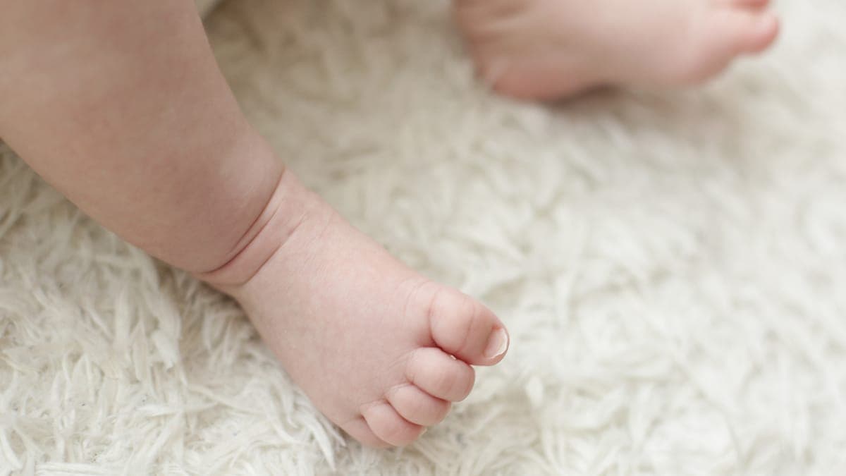 What hypoallergenic carpet cleaning actually means