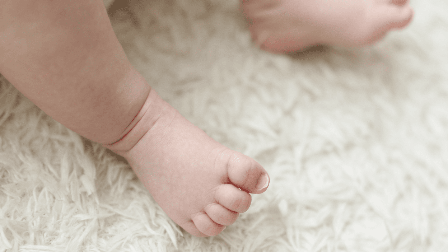 What hypoallergenic carpet cleaning actually means