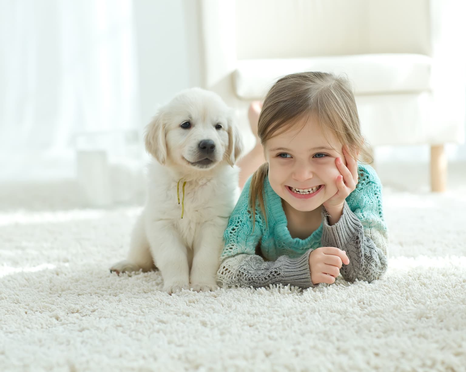 Child and puppy on freshly cleaned carpet