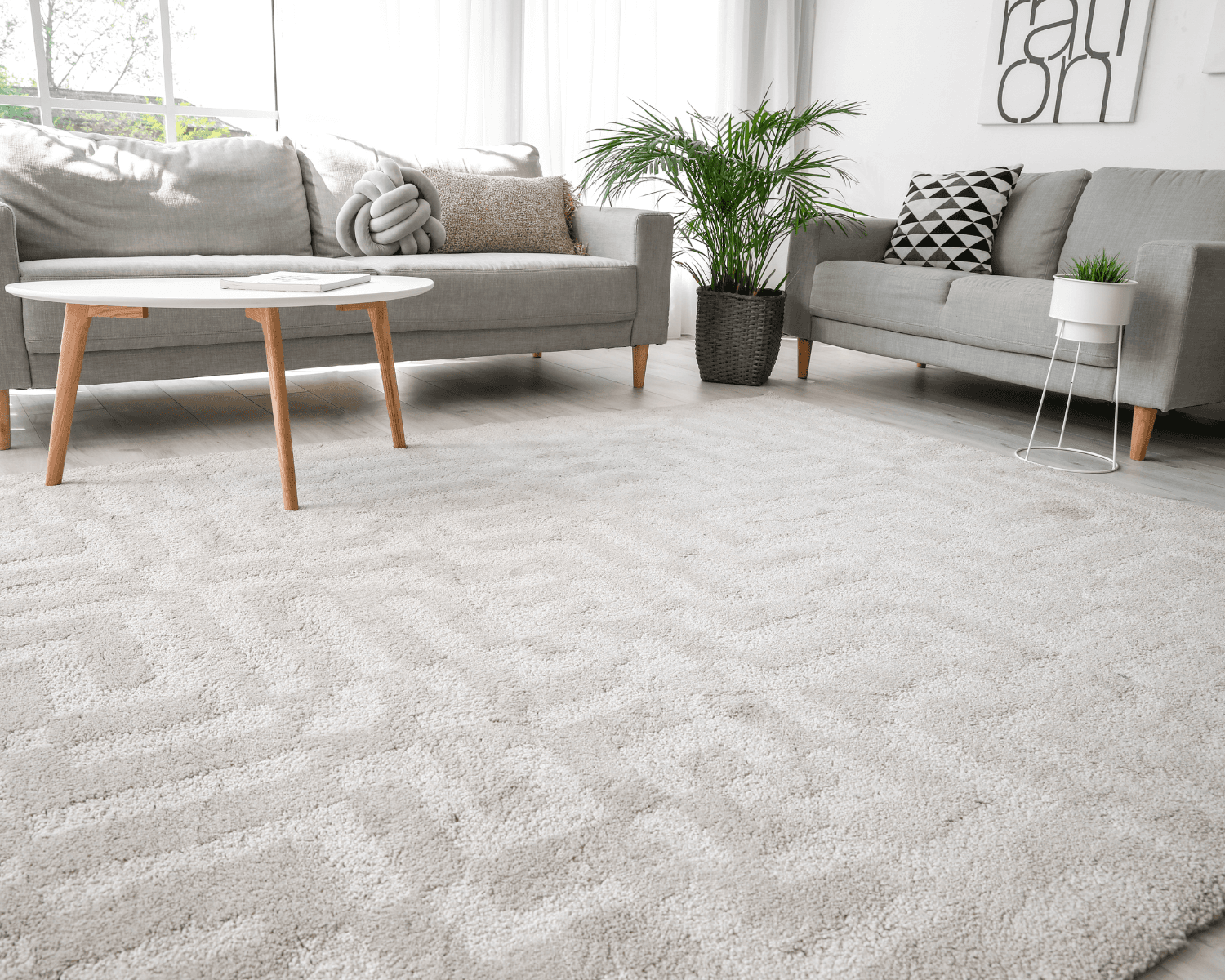 Area Rug Cleaning in Collierville TN