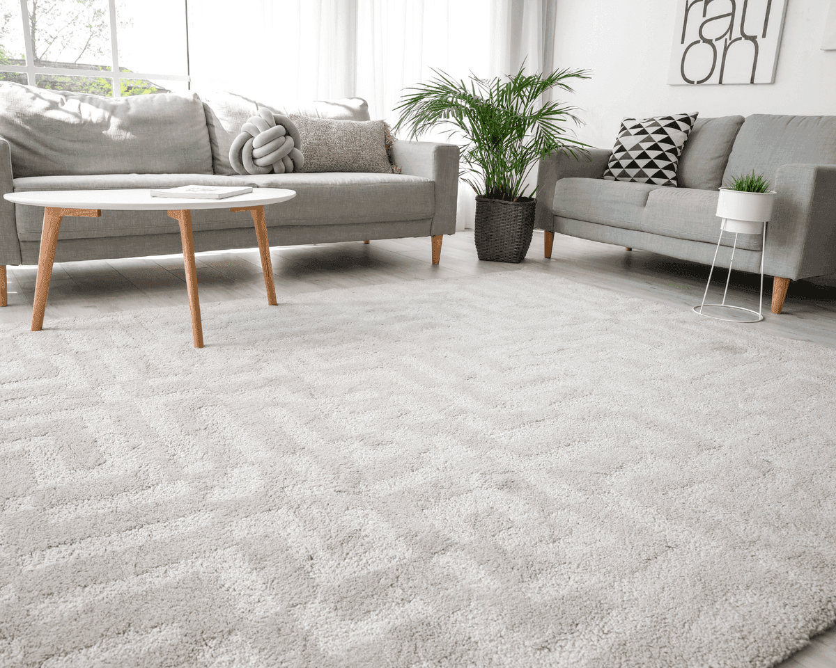 Area Rug Cleaning in Collierville TN